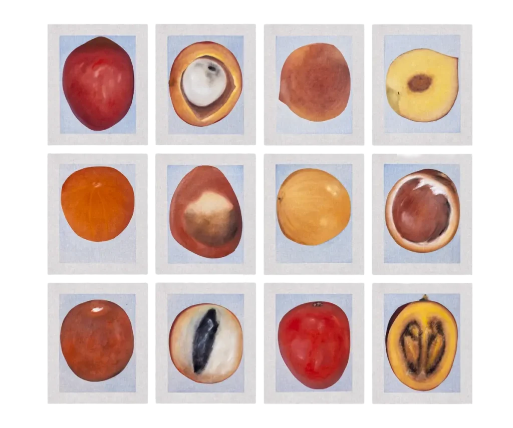 fruição #1 vermelho amarelo laranja