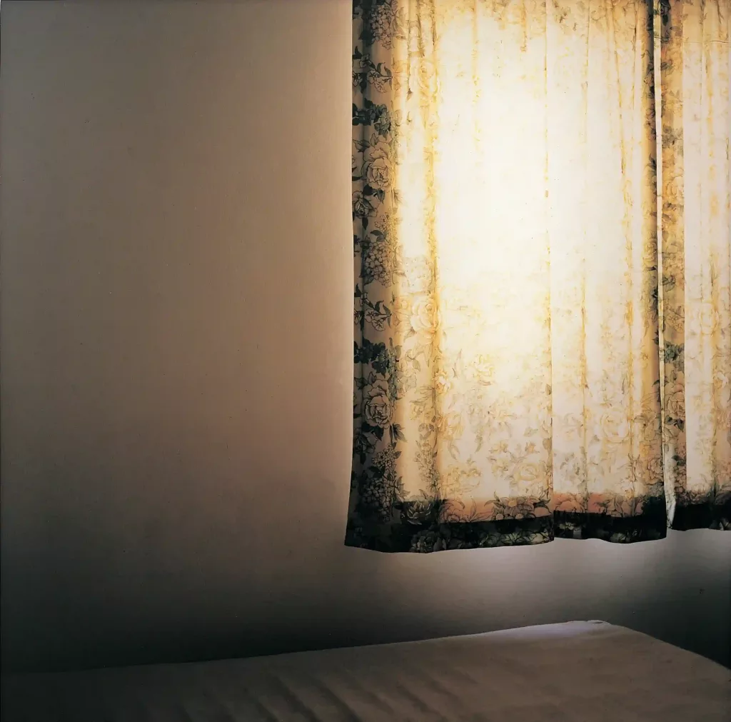 Curtain