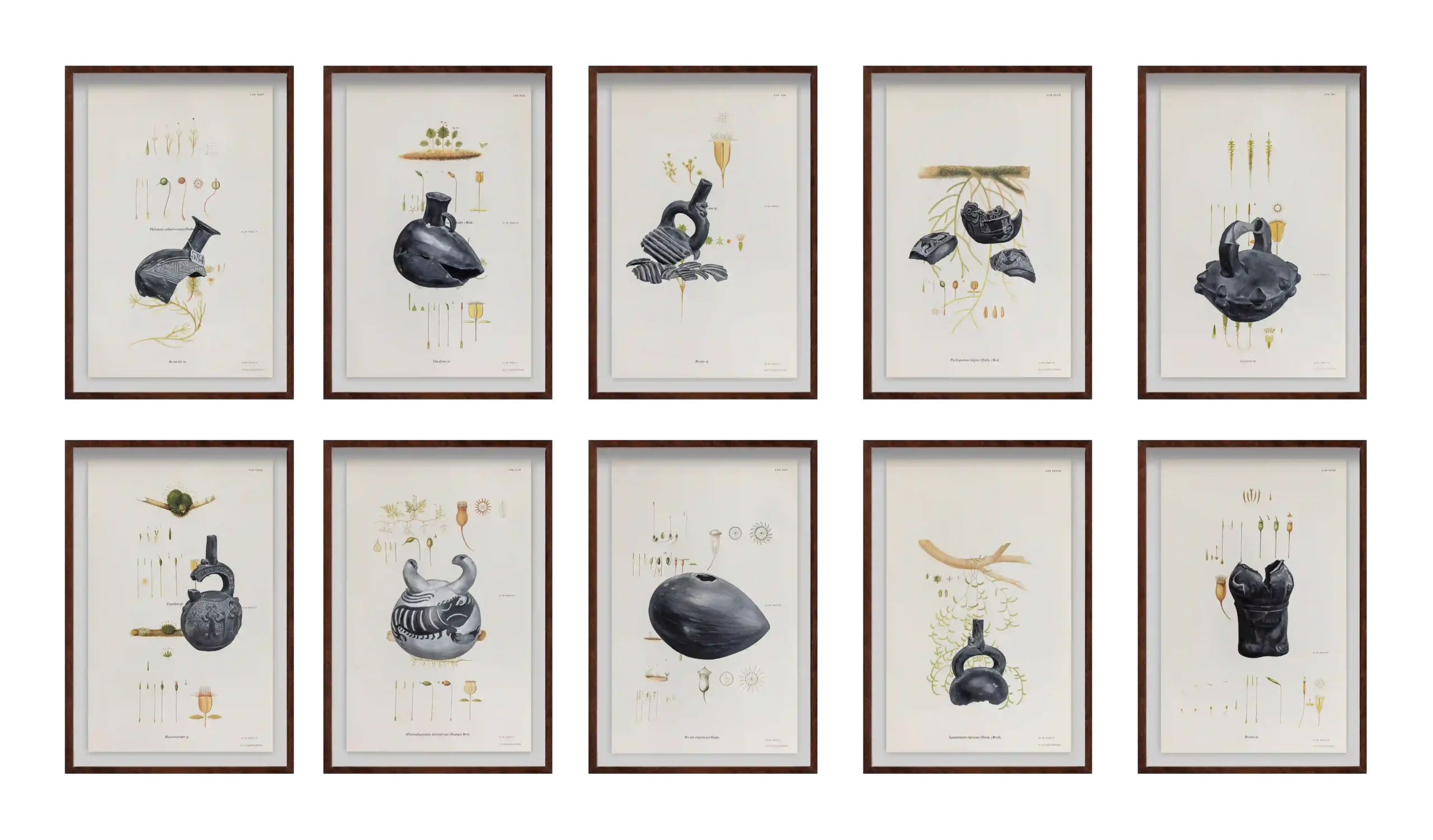 11979796 b8c5 403a bcb8 7d7396fc1e61