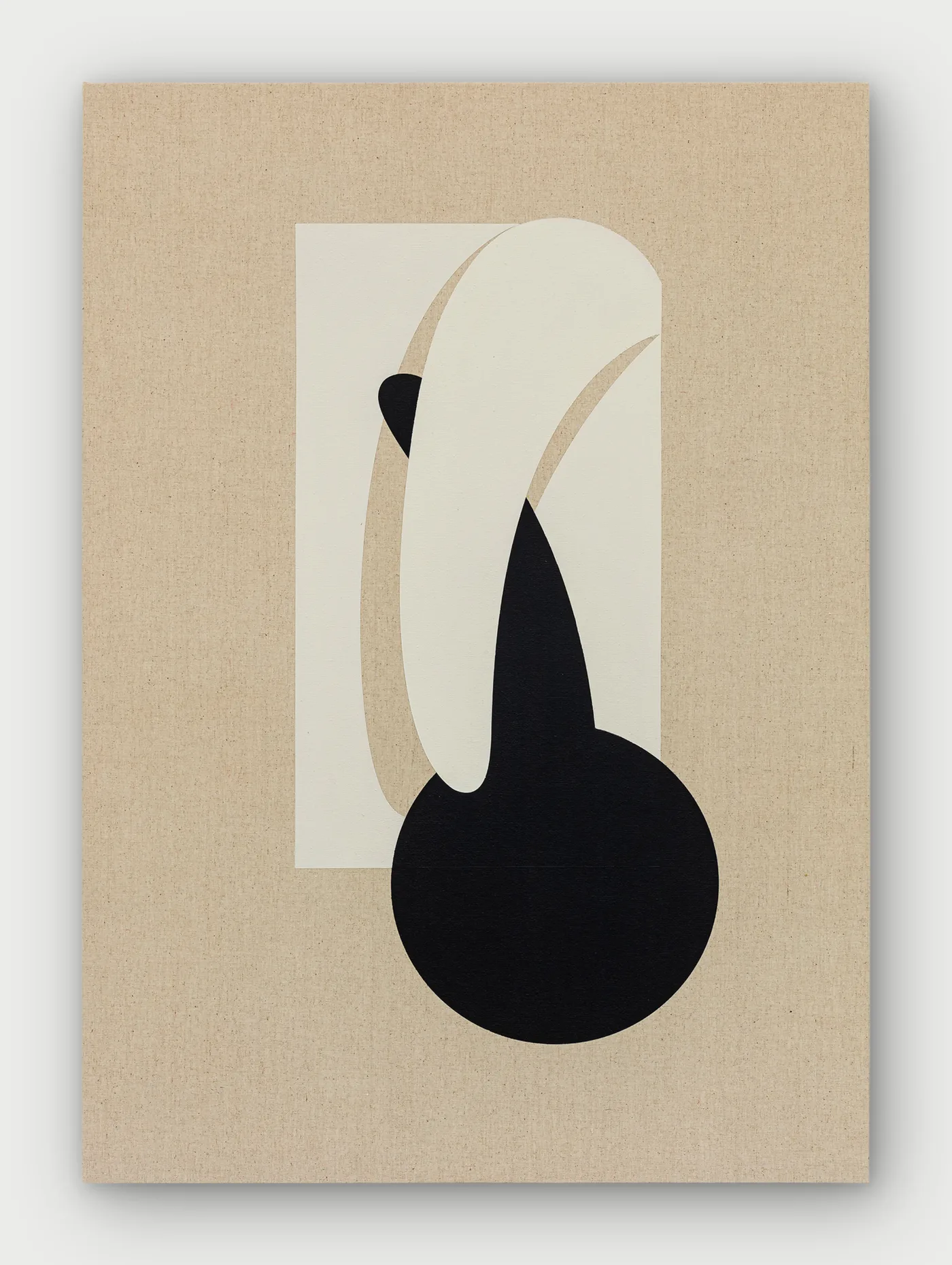 Agustina Nuñez — Untitled, 2026_14444