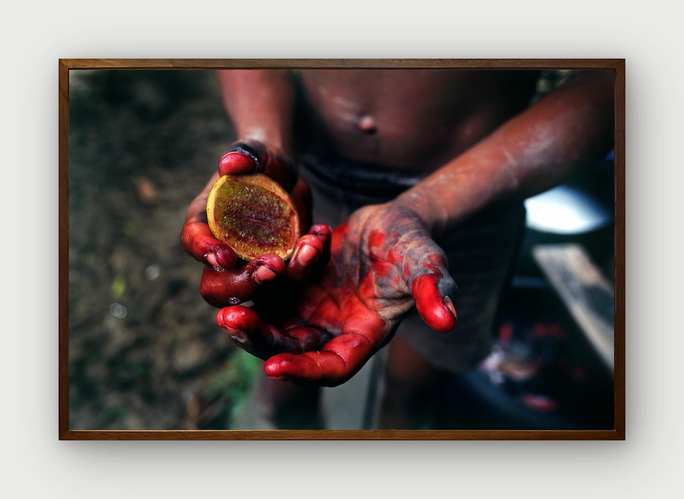 Luiz Braga — Mãos de açaí, 1999