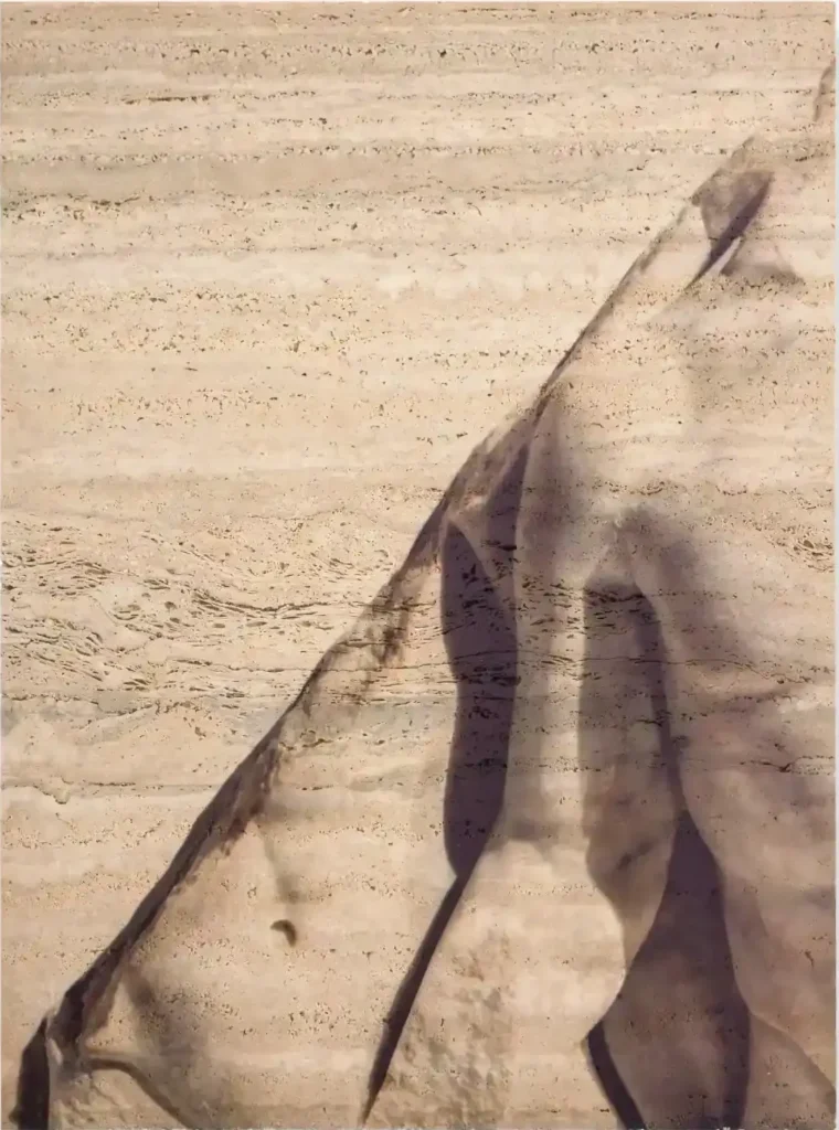 12 5 e1777817293998