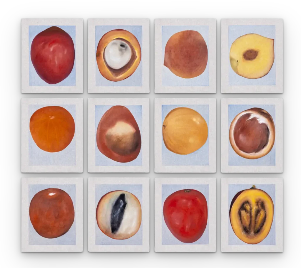 gjg0332 fruicao 1 vermelho amarelo laranja 2026 oleo sobre linho 54x44x2cm sombra tripla